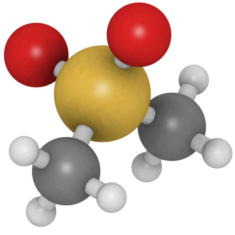 MSM Molecule